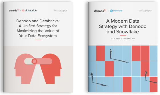 Databricks and Snowflake Whitepapers